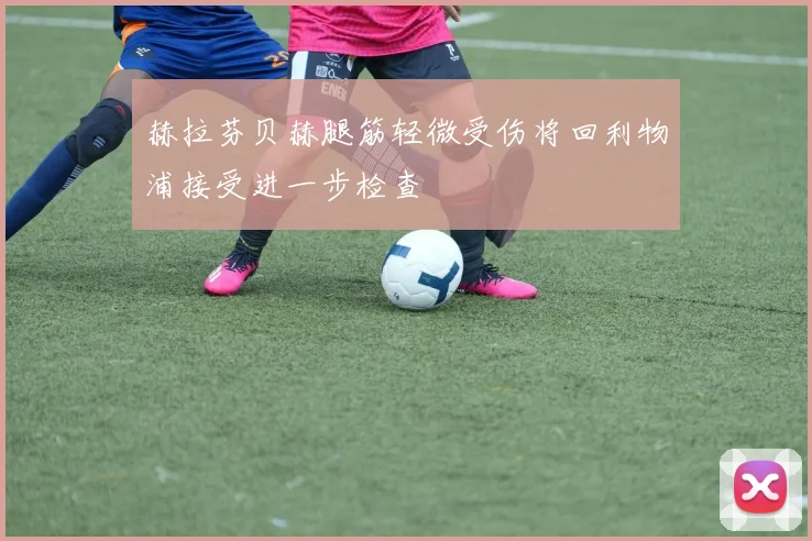 赫拉芬贝赫腿筋轻微受伤将回利物浦接受进一步检查
